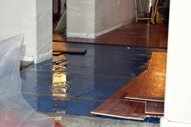 Professional Emergency Water Damage Restoration technician working in Rossville, MD